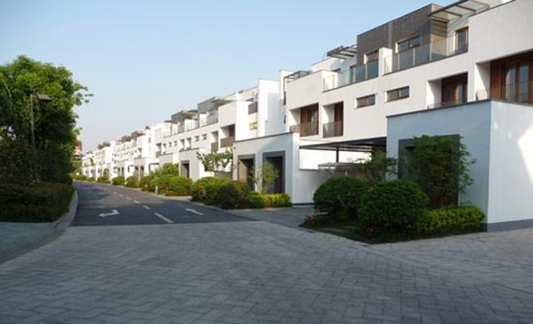中粮本岸