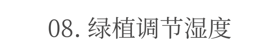 图片14.png
